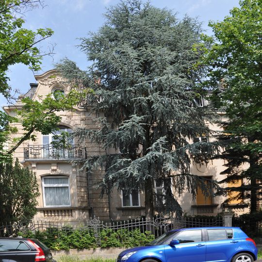 Haus Tulpenhofstraße 11Tulpenhofstraße 13