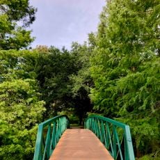 Greenwood Urban Wetlands