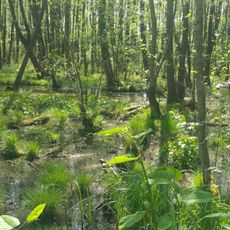 Stellmoor–Ahrensburger Tunneltal