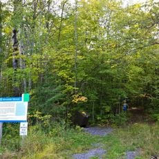 Alexander Stewart Provincial Park