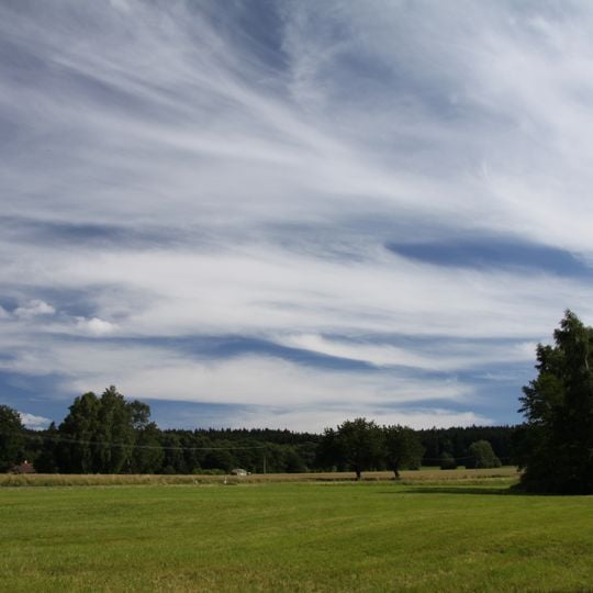 Rašeliniště u Vintířova
