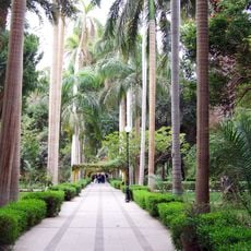 Aswan Botanical Garden