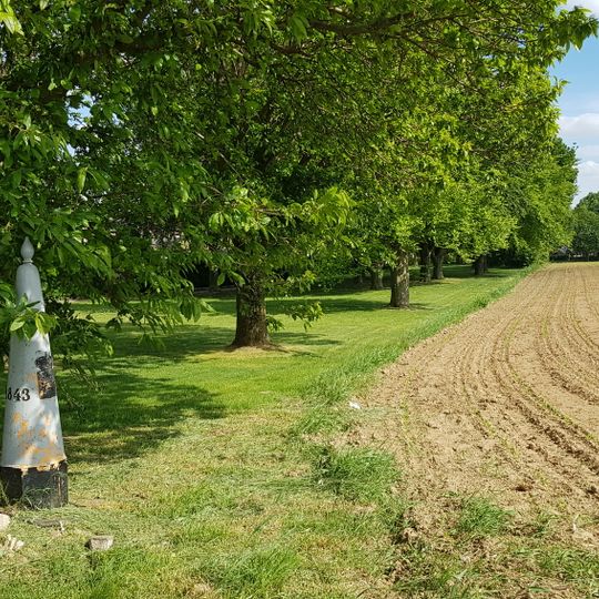 Belgium-Netherlands boundary stone no. 85