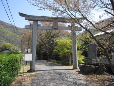 Entrée 1