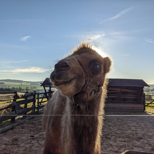 Tiergarten Höckendorfer Heide