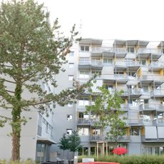 Mehrfamilienhaus, Dufourstrasse 117