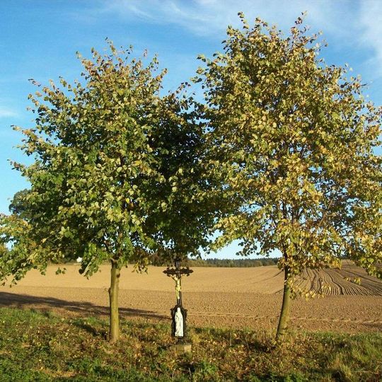 Kříž západně od Hojovic