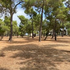 Le Bois des Pins