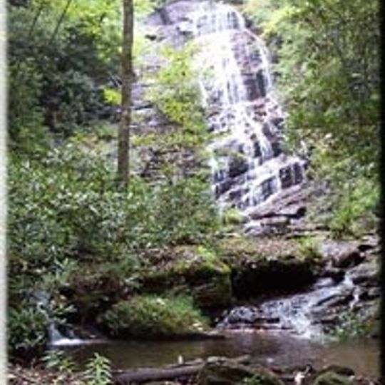 Mark Trail Wilderness