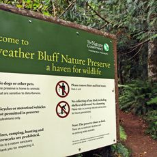 Foulweather Bluff