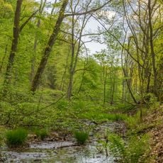Ruhrtalhang am Auberg