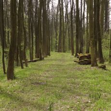 Zámecký park Liblice