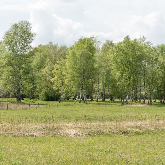 Riedholz und Grettstädter Wiesen