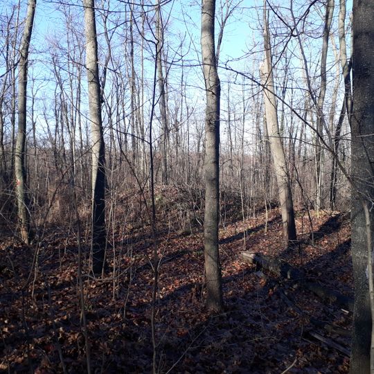 Cetățuie - Durlești