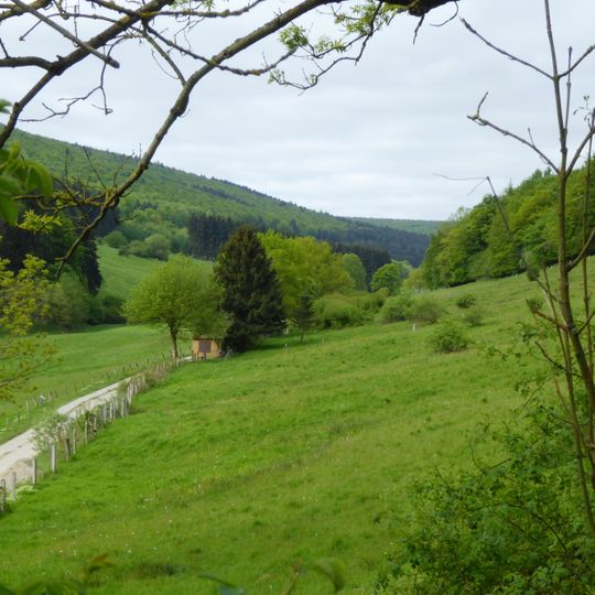 Moore und Wälder im Hochsolling, Hellental