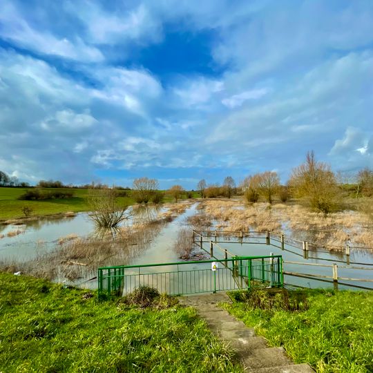 Bassin des Bourguignons