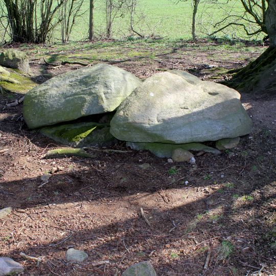 Lindeskov Hestehave Stenkiste