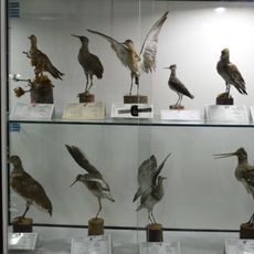 Natural History and Technology Museum of Shiraz University