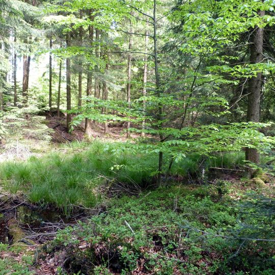 Steinbruchtümpel im Eulenbuck