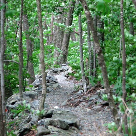 Parc d'État d'Elk Knob