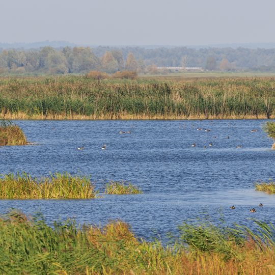 Parc national d'Ujście Warty