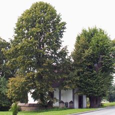 World War I Cemetery nr 367 in Mordarka
