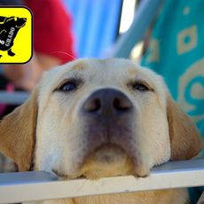 Spiaggia di Lido di Fido