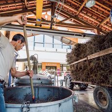 Distillerie Bleu Provence