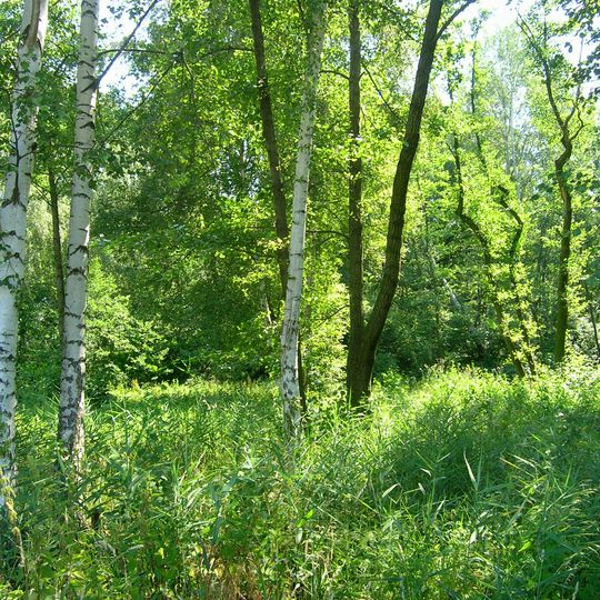 Slatiniště u Vrbky