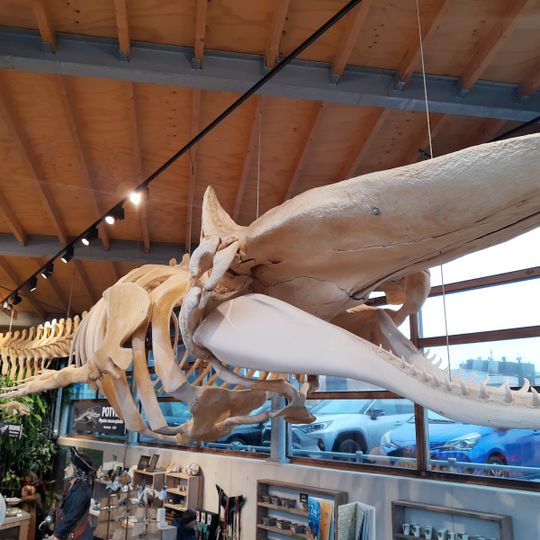 Zee Aquarium Bergen aan Zee