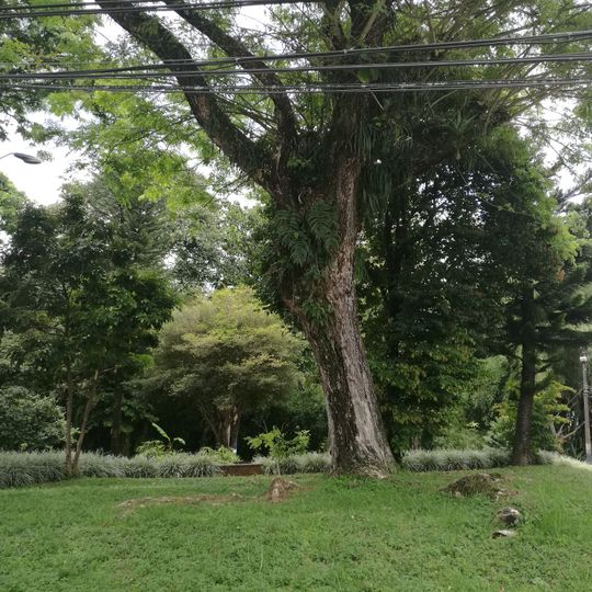Parque El Jardin 2