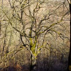 Břek u Horního hradu