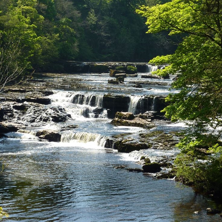 Aysgarth Şelaleleri