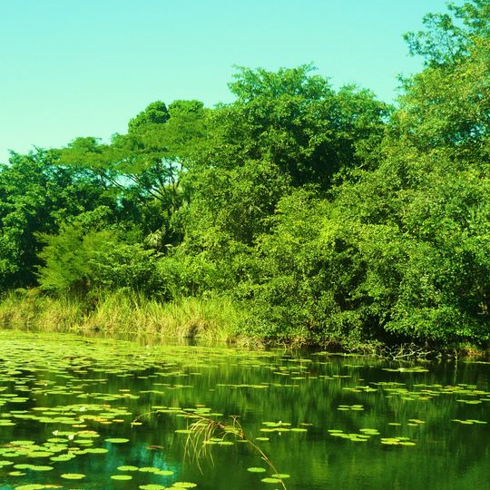 Reserva de la biosfera de Los Petenes