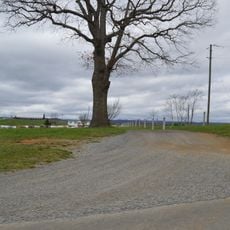 Spring Dale (Dublin, Virginia)