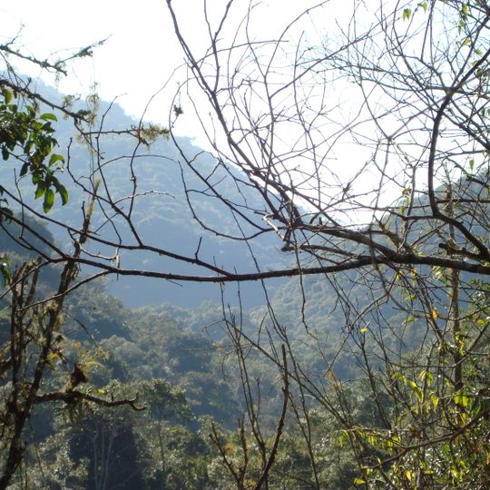 Paranapiacaba Conservation Units Mosaic
