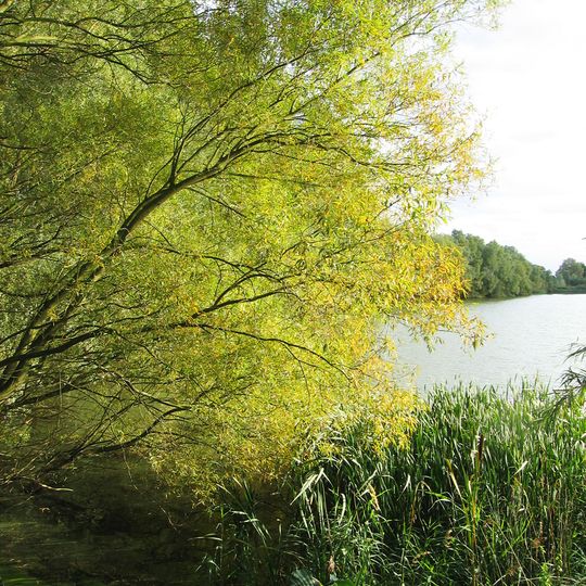 Paxton Pits Nature Reserve