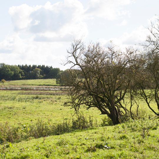Schwartautal und Curauer Moor