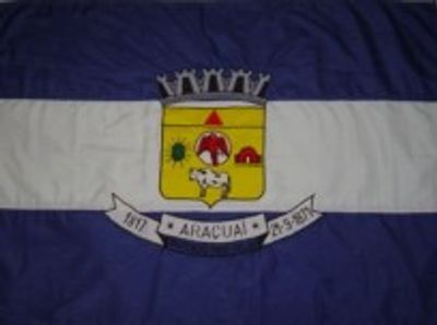 Flag 1