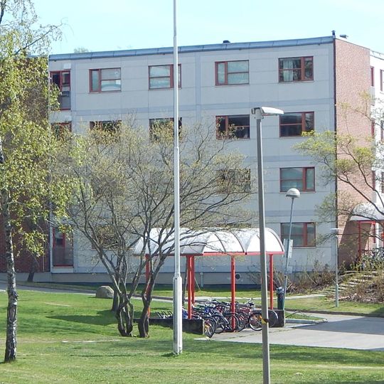 Fjellbirkeland studentby