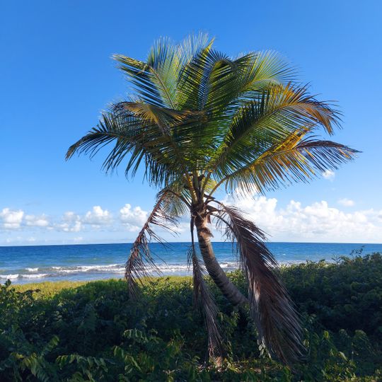 Balneario público de Humacao