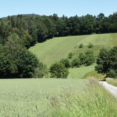 Obere Hengersberger Ohe mit Hangwiesen