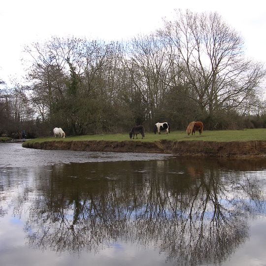 Lymington River