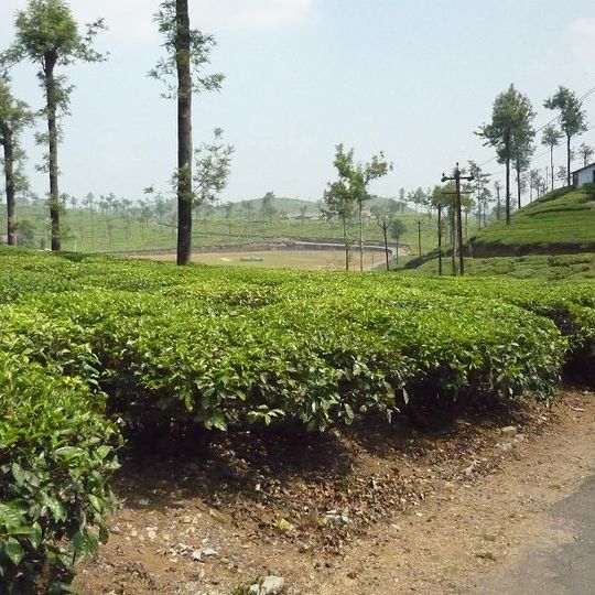 Valparai