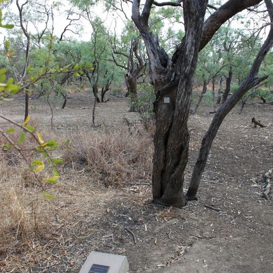 Burke and Wills Camp B/CXIX