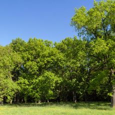 Hutanger Kirchlohe bei Gersberg