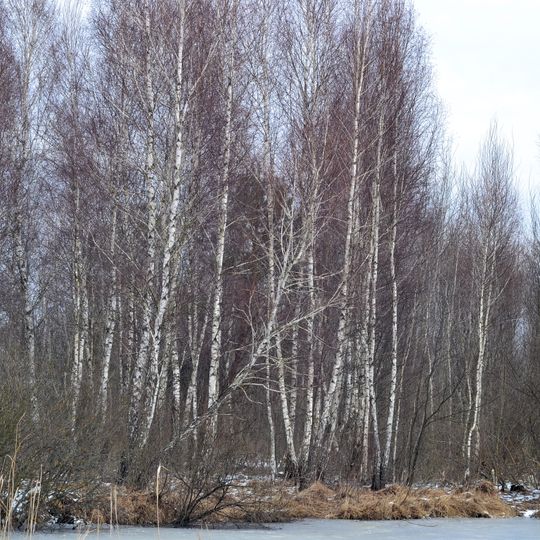 Ozeryshche nature reserve