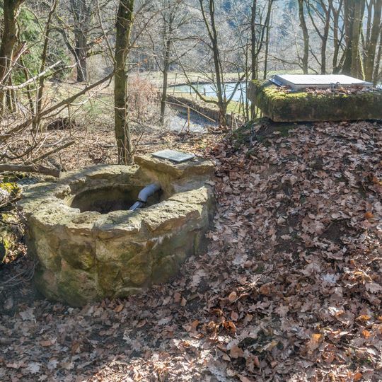 Quelle beim Felsenkeller 'Bumberer'