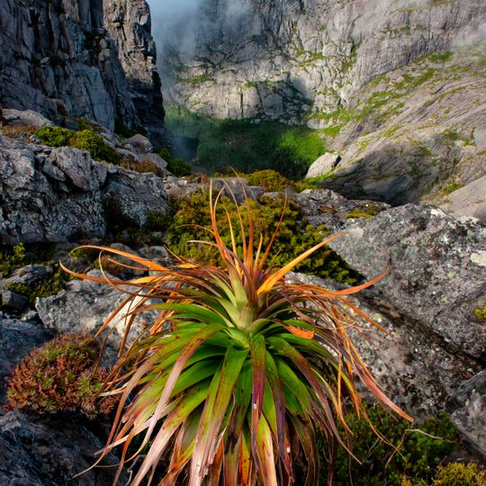 Mount Murchison Regional Reserve