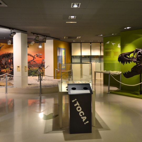 Museu Paleontològic d'Elx